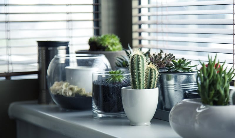 Personalized Planter